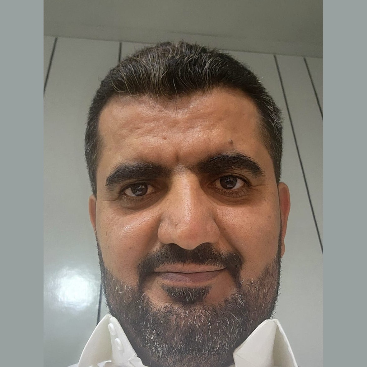 م. عامر الحلحلي